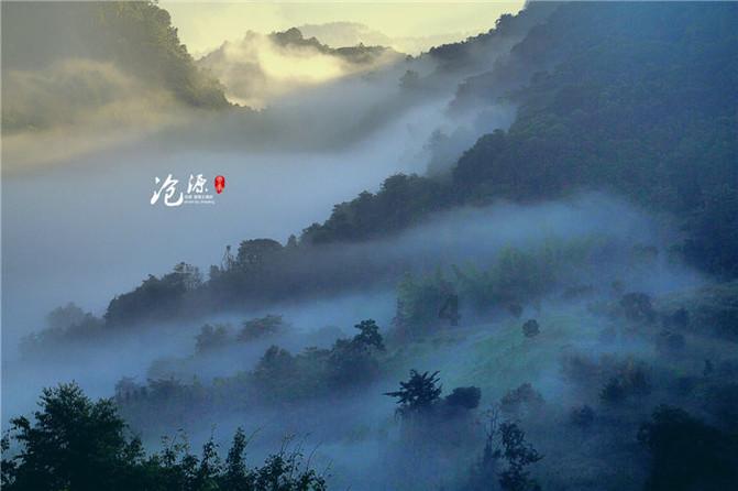 破碎的动物图形3