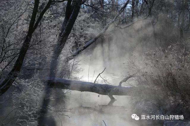 老友一键重装系统怎么样游戏画面