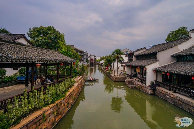僵尸顶顶乐