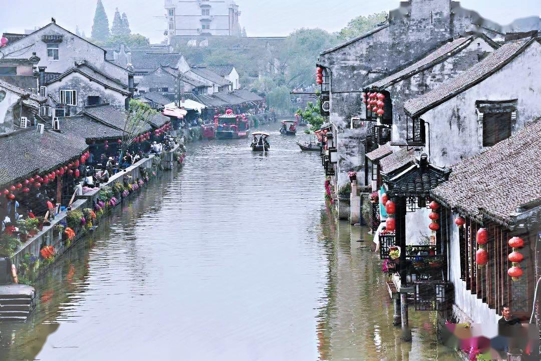 泡枸杞时，用热水好还是温水好？很多人放错了水，难怪没效果！